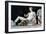 Dionysus, from the East Pediment of the Parthenon, 447-432 Bc-null-Framed Photographic Print