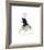 Dior does Ombre-Jessica Durrant-Framed Giclee Print