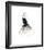 Dior does Ombre-Jessica Durrant-Framed Giclee Print