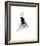 Dior does Ombre-Jessica Durrant-Framed Giclee Print