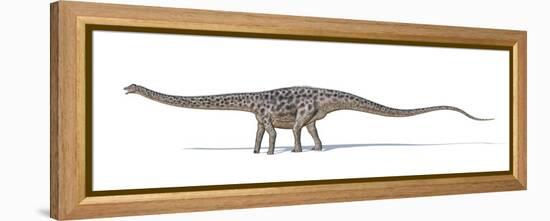 Diplodocus Dinosaur, Artwork-null-Framed Premier Image Canvas