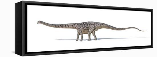 Diplodocus Dinosaur, Artwork-null-Framed Premier Image Canvas