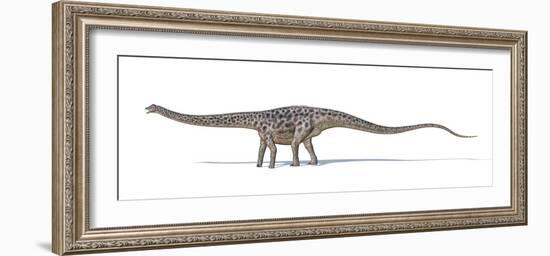 Diplodocus Dinosaur, Artwork-null-Framed Photographic Print