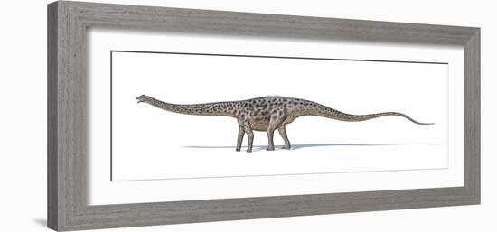 Diplodocus Dinosaur, Artwork-null-Framed Photographic Print