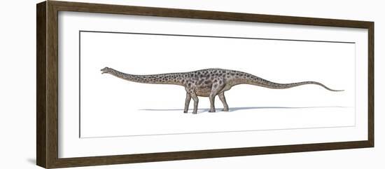 Diplodocus Dinosaur, Artwork-null-Framed Photographic Print