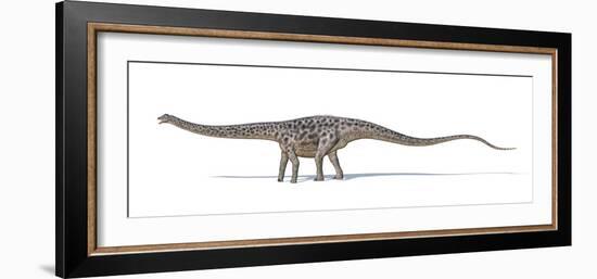 Diplodocus Dinosaur, Artwork-null-Framed Photographic Print