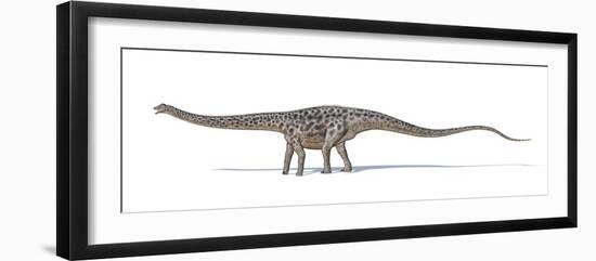 Diplodocus Dinosaur, Artwork-null-Framed Photographic Print
