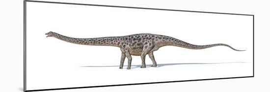Diplodocus Dinosaur, Artwork-null-Mounted Photographic Print