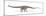 Diplodocus Dinosaur, Artwork-null-Mounted Photographic Print