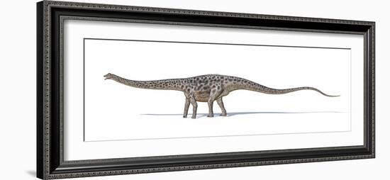 Diplodocus Dinosaur, Artwork-null-Framed Photographic Print