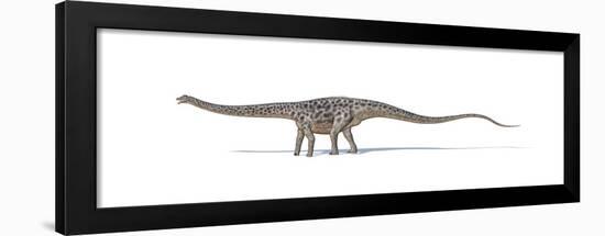 Diplodocus Dinosaur on White Background-null-Framed Art Print