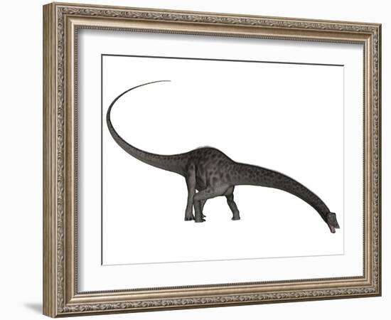 Diplodocus Dinosaur with Head Down-Stocktrek Images-Framed Art Print