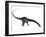 Diplodocus Dinosaur with Head Down-Stocktrek Images-Framed Art Print