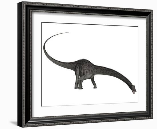 Diplodocus Dinosaur with Head Down-Stocktrek Images-Framed Art Print