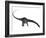 Diplodocus Dinosaur with Head Down-Stocktrek Images-Framed Art Print