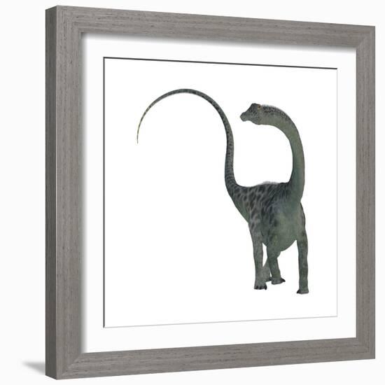 Diplodocus Dinosaur-Stocktrek Images-Framed Premium Giclee Print