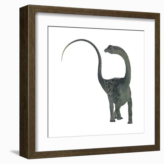 Diplodocus Dinosaur-Stocktrek Images-Framed Art Print