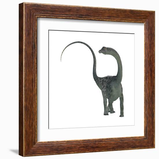 Diplodocus Dinosaur-Stocktrek Images-Framed Art Print