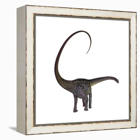 Diplodocus Dinosaur-Stocktrek Images-Framed Stretched Canvas