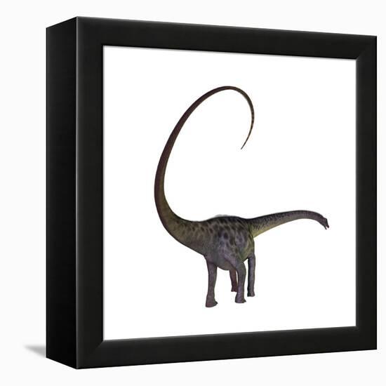 Diplodocus Dinosaur-Stocktrek Images-Framed Stretched Canvas