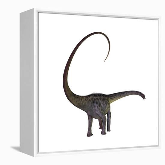 Diplodocus Dinosaur-Stocktrek Images-Framed Stretched Canvas