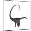 Diplodocus Dinosaur-Stocktrek Images-Mounted Art Print