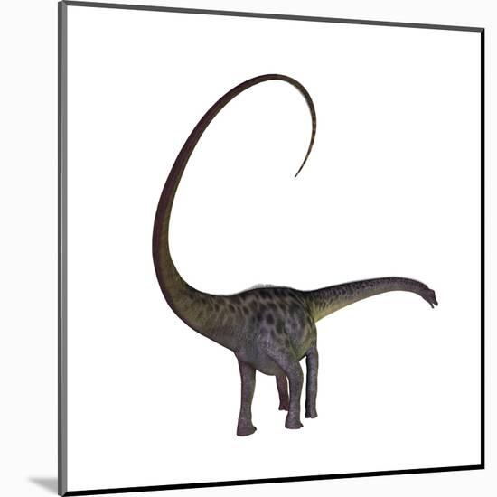 Diplodocus Dinosaur-Stocktrek Images-Mounted Art Print