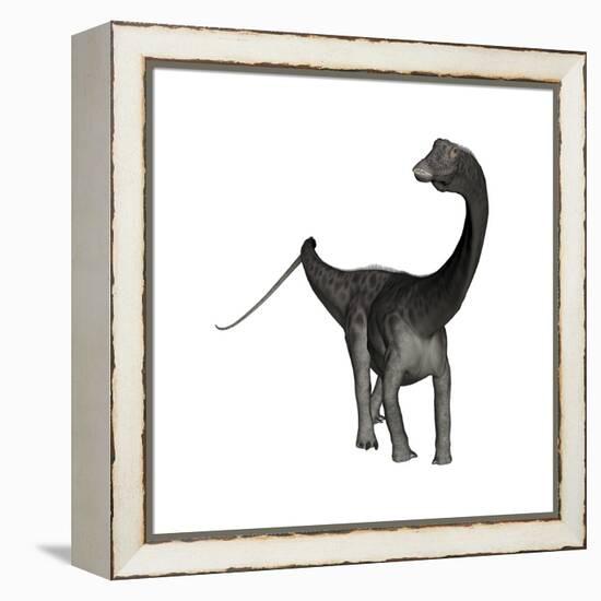 Diplodocus Dinosaur-Stocktrek Images-Framed Stretched Canvas