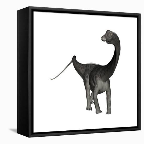 Diplodocus Dinosaur-Stocktrek Images-Framed Stretched Canvas