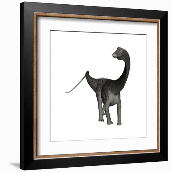 Diplodocus Dinosaur-Stocktrek Images-Framed Art Print