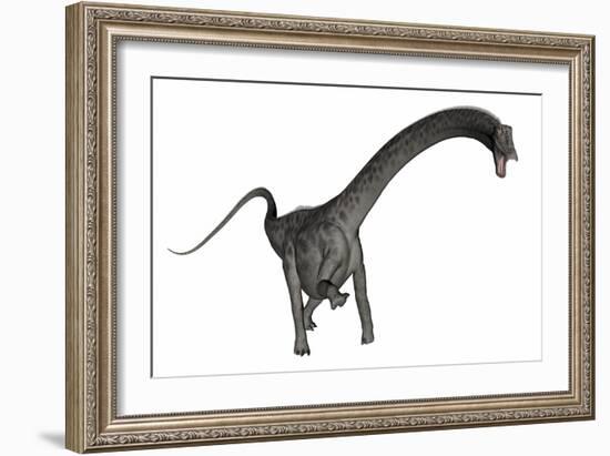 Diplodocus Dinosaur-Stocktrek Images-Framed Art Print