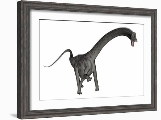 Diplodocus Dinosaur-Stocktrek Images-Framed Art Print