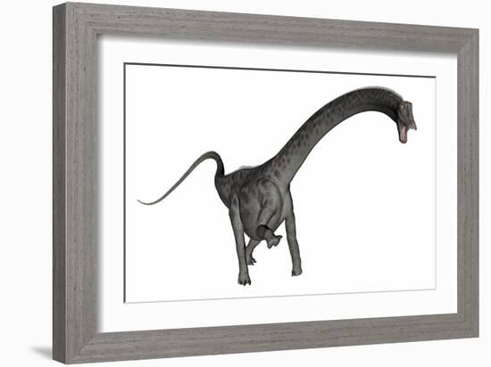 Diplodocus Dinosaur-Stocktrek Images-Framed Art Print