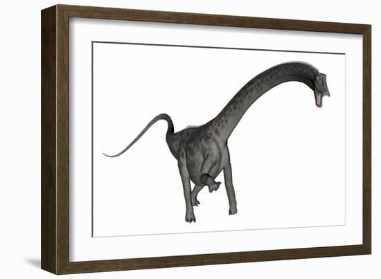 Diplodocus Dinosaur-Stocktrek Images-Framed Art Print