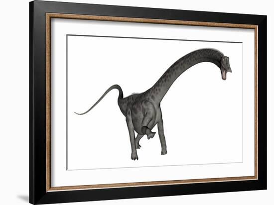 Diplodocus Dinosaur-Stocktrek Images-Framed Art Print