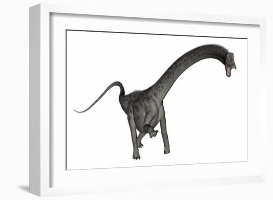 Diplodocus Dinosaur-Stocktrek Images-Framed Art Print