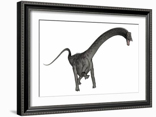 Diplodocus Dinosaur-Stocktrek Images-Framed Art Print