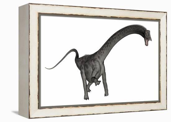 Diplodocus Dinosaur-Stocktrek Images-Framed Stretched Canvas