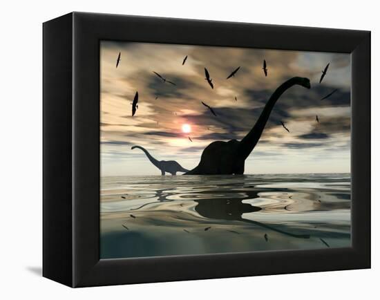 Diplodocus Dinosaurs Bathe in a Large Body of Water-Stocktrek Images-Framed Premier Image Canvas