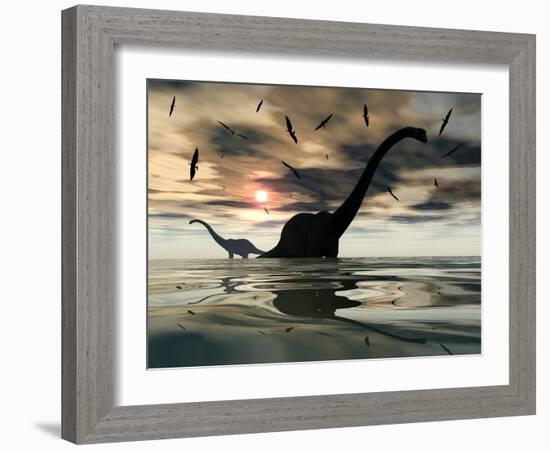 Diplodocus Dinosaurs Bathe in a Large Body of Water-Stocktrek Images-Framed Photographic Print