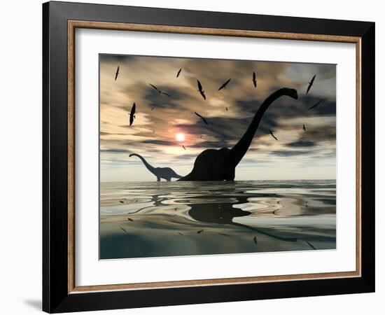 Diplodocus Dinosaurs Bathe in a Large Body of Water-Stocktrek Images-Framed Photographic Print