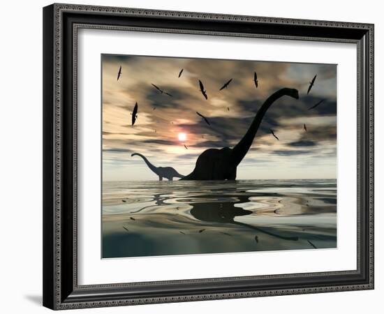 Diplodocus Dinosaurs Bathe in a Large Body of Water-Stocktrek Images-Framed Photographic Print