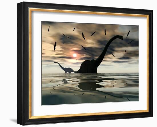 Diplodocus Dinosaurs Bathe in a Large Body of Water-Stocktrek Images-Framed Photographic Print