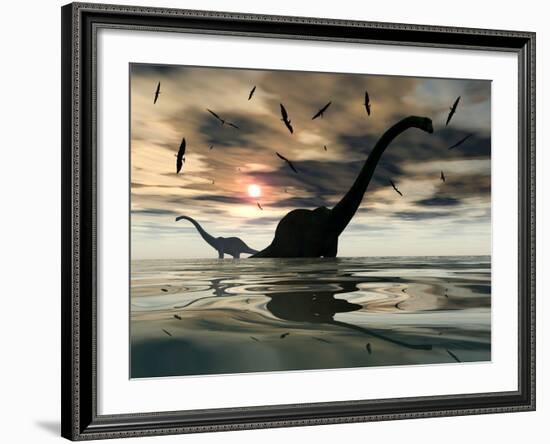 Diplodocus Dinosaurs Bathe in a Large Body of Water-Stocktrek Images-Framed Photographic Print