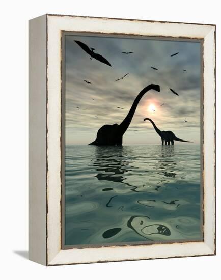 Diplodocus Dinosaurs Bathe in a Large Body of Water-Stocktrek Images-Framed Premier Image Canvas