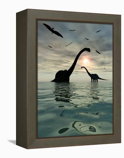 Diplodocus Dinosaurs Bathe in a Large Body of Water-Stocktrek Images-Framed Premier Image Canvas