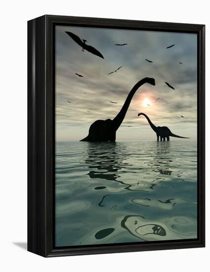 Diplodocus Dinosaurs Bathe in a Large Body of Water-Stocktrek Images-Framed Premier Image Canvas