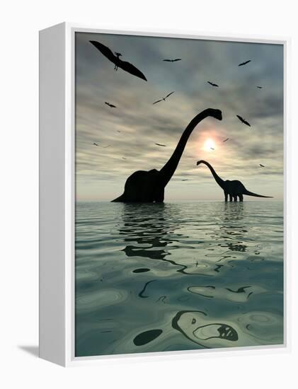 Diplodocus Dinosaurs Bathe in a Large Body of Water-Stocktrek Images-Framed Premier Image Canvas