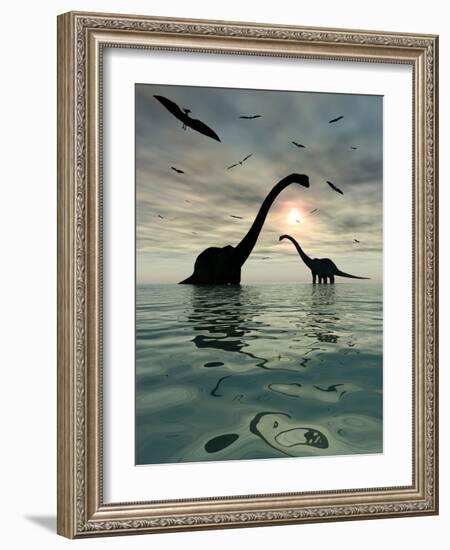Diplodocus Dinosaurs Bathe in a Large Body of Water-Stocktrek Images-Framed Premium Photographic Print