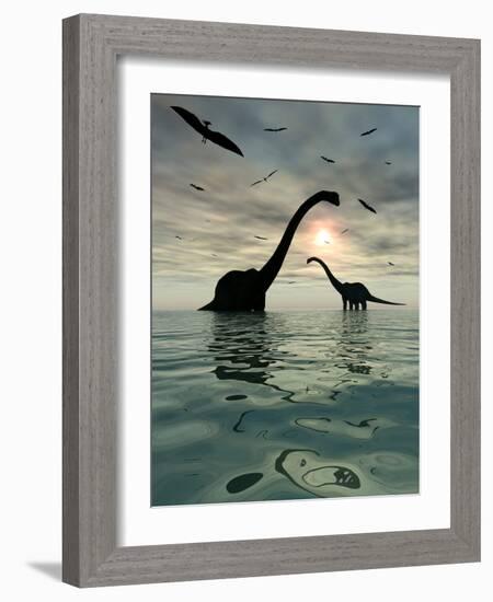 Diplodocus Dinosaurs Bathe in a Large Body of Water-Stocktrek Images-Framed Premium Photographic Print